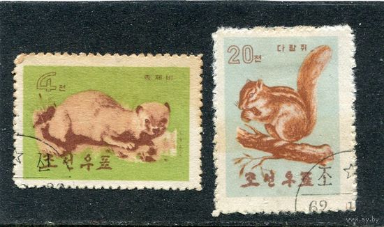 КНДР. Фауна. Лесные звери