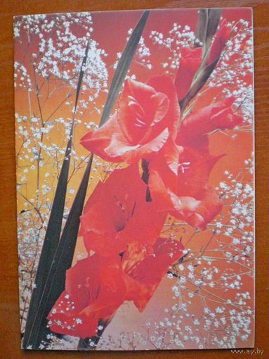 Стейнерт Э., С днем рождения!, 1989г, подписана (бол. формат 14*20 см)