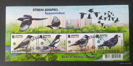 Беларусь 2024 мл.лист Врановые.
