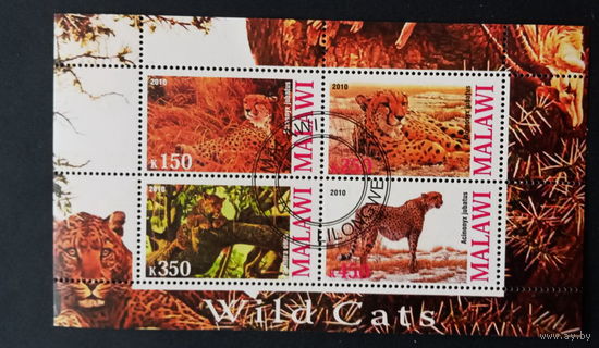 ЛИСТ ФАУНА животные  СТО