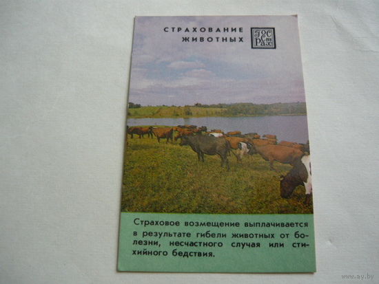 Страхование.