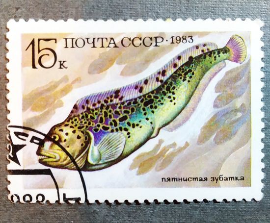 Марка СССР 1983 год Рыба