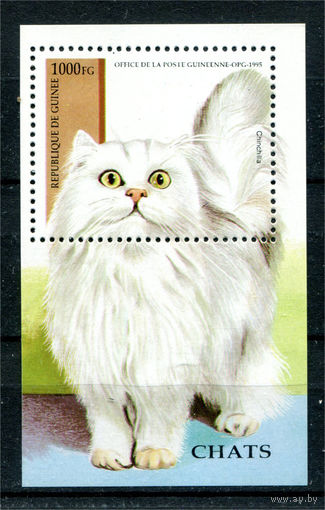 Гвинея - 1995г. - Коты - 1 блок - полная серия, MNH [Mi bl. 492]. #O-Bl-Z-2-1