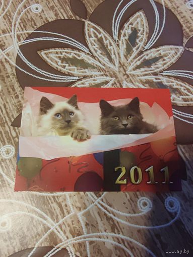 Календарик,коты,2011