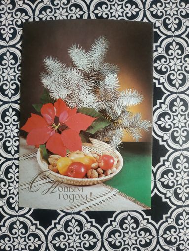 Открытка СССР 1989 год. Чистая. Д.Киндрова. Состояние на скане.