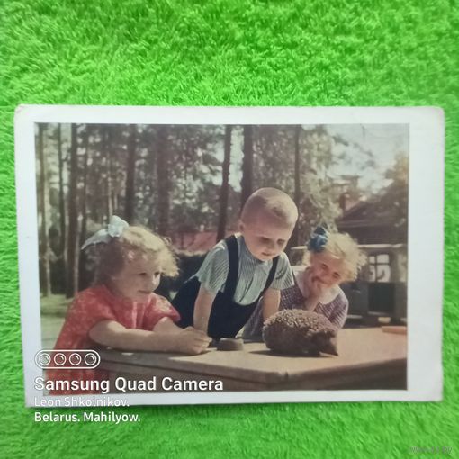 ЮНЫЕ НАТУРАЛИСТЫ. Фото А.И. Становова. ПРОДАЮ.