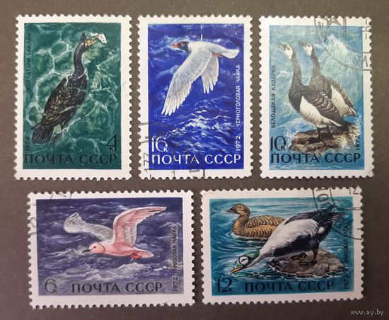 СССР. 1972 год. Фауна. Водоплавающие птицы (5 марок)