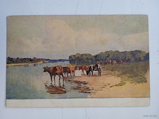 Открытка 1920-х г. Прокофьев. На водопое