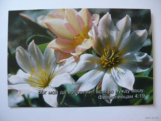 Открытка, Религия (Псалом, 40).
