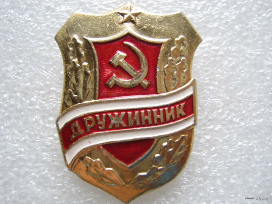 Дружинник.