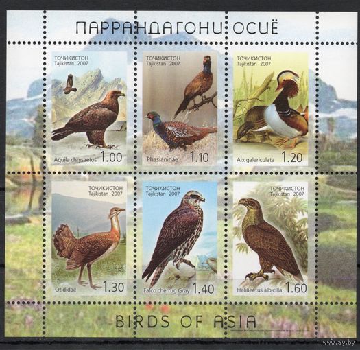Таджикистан 2007. Фауна. Хищные птицы малый лист (190)