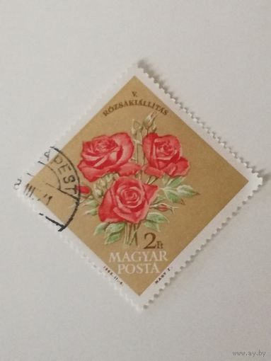 Венгрия 1963. 5-я национальная выставка роз, Будапешт. Полная серия