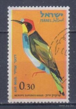 [1977] Израиль 1963. Фауна.Птицы.Золотистая щурка. Гашеная марка.