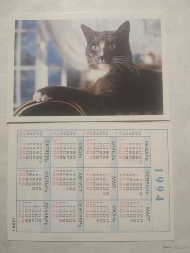 Карманный календарик. Котик.1994 год