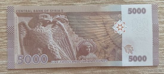 Werty71 Сирия 5000 фунтов 2024 UNC банкнота