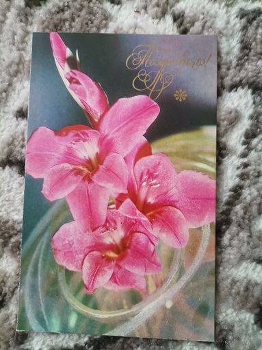 Открытка СССР 1974