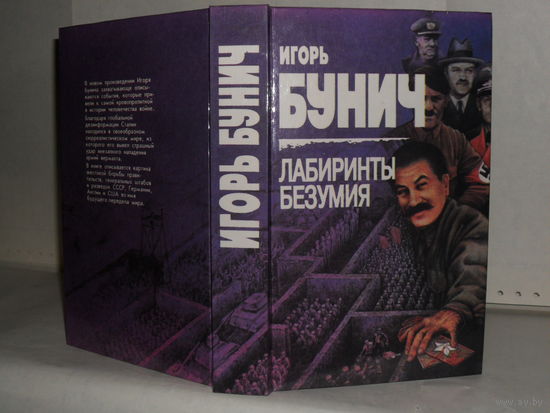 Бунич И.Л. Лабиринты безумия: Историко-художественное исследование.