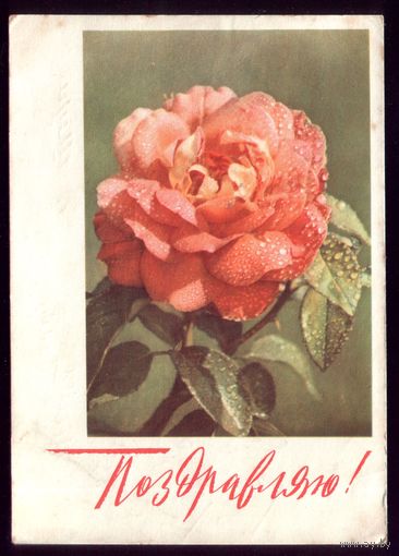 1968 год Н.Матанов Поздравляю