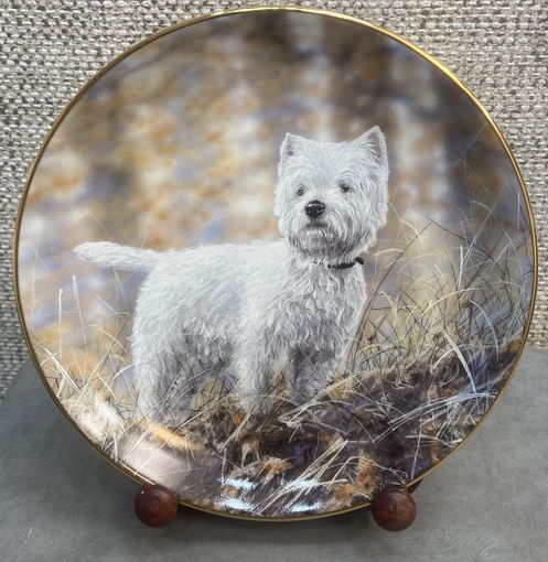 Фарфоровая настенная тарелка SammlerFactum Внимание. Германия. 20.5 см