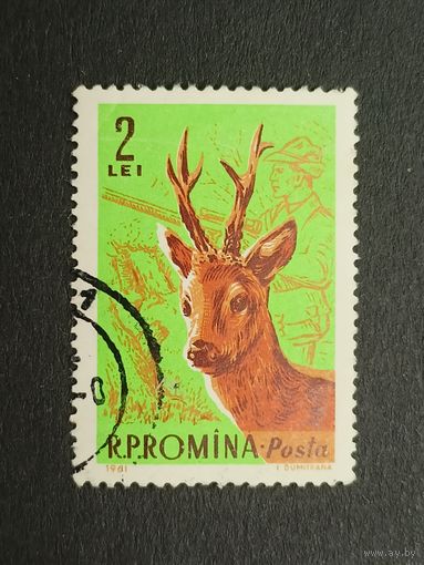 Румыния 1961. Животные. Европейская косуля