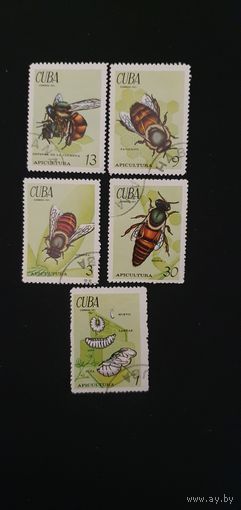 Куба насекомые 5шт