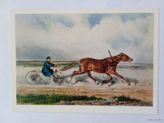 1959. Сверчков. "Краса" на бегу в дрожках