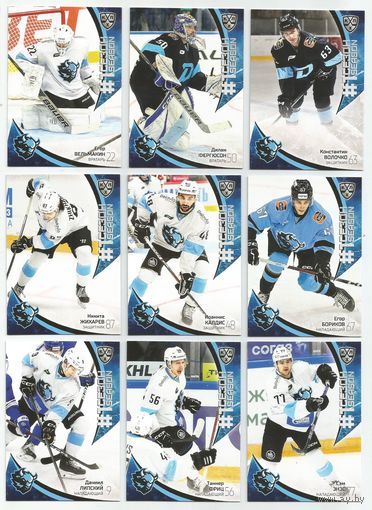 "Динамо" Минск / Первый сезон в КХЛ  / базовый сет 9штук / Коллекция "SeReal Карточки КХЛ 2023-2024 Premium".
