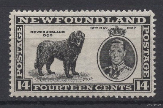 1937 Ньюфаундленд /Newfoundland* 14c Коронация SG#262