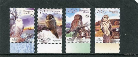 Беларусь 2007. Фауна. Совы