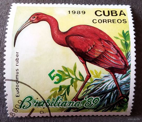 Марка Куба 1989 год Птицы