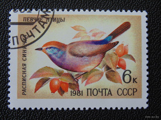 СССР 1981 г. Птицы.