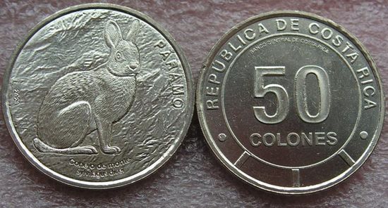 Коста-Рика 50 колон 2023 Горный кролик