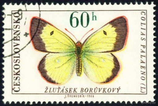 Бабочки Чехословакия 1966 год 1 марка