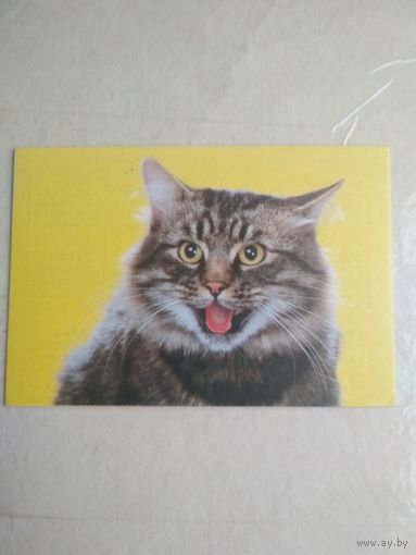 Карманный календарик. Кошки . 1996 год