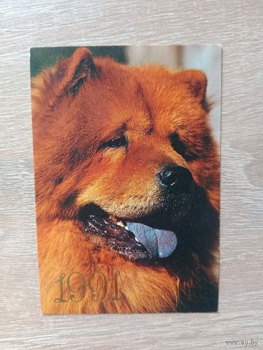 Календарик 1991