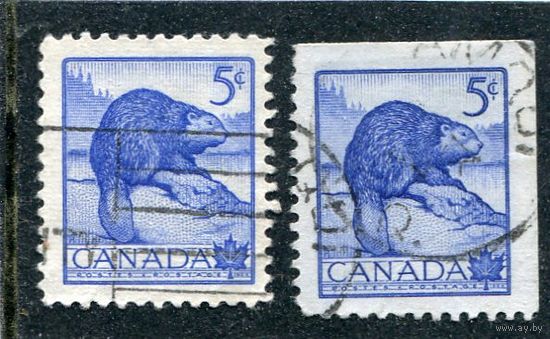 Канада. Стандарт. Фауна. Обыкновенный бобр. Разная зубцовка