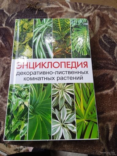 ЭНЦИКЛОПЕДИЯ ДЕКОРАТИВНО-ЛИСТВЕННЫХ КОМНАТНЫХ РАСТЕНИЙ.