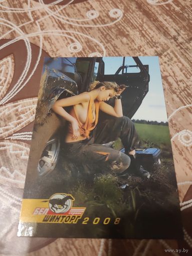 Календарик,реклама,2008