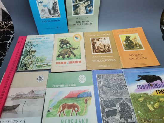 Книга 10 шт. одним лотом.