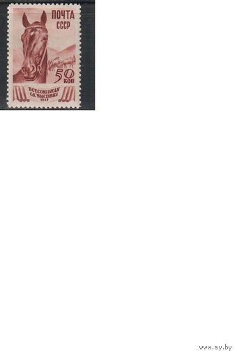 СССР-1939, (Заг.597)  * ,  Сельхозвыставка , Коневодство