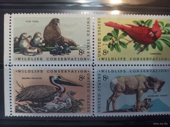 США. 1972. Дикие животные. Квартблок