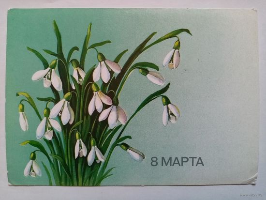 Куртенко 1986 8 Марта! чистая подснежники