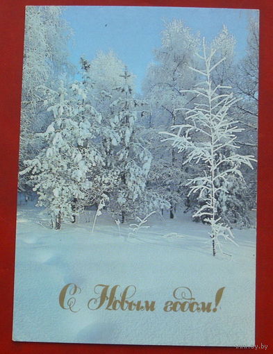 С новым годом! Чистая. 1989 года. Фото Буркина. 226.
