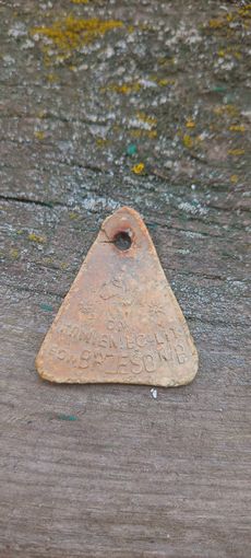 Собачий жетон Каменец