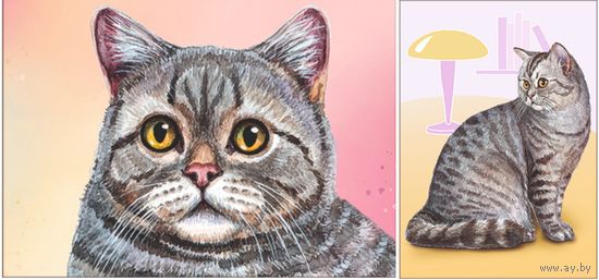 Коты. Домашние питомцы. Открытки, глянец