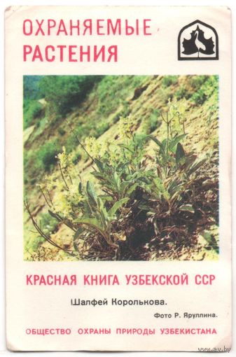 Карманный каленарик