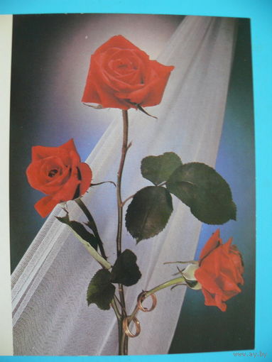 Киндорова Д.(фото), Поздравляю! 1989, двойная, чистая.