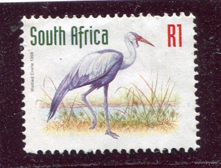 ЮАР. Стандарт. Фауна. Сережчатый журавль