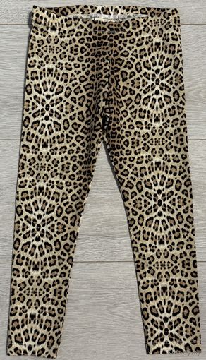 Леггинсы ZARA. Пересылка бесплатно