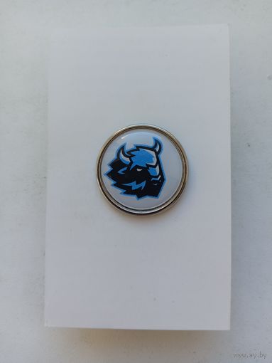 Динамо Минск ХК  цанга